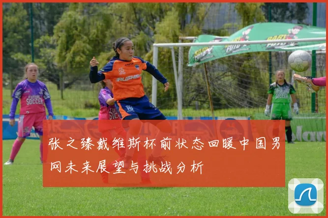 张之臻戴维斯杯前状态回暖中国男网未来展望与挑战分析